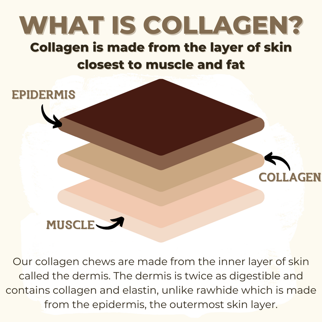 5-6 Inch Braided Collagen Stick