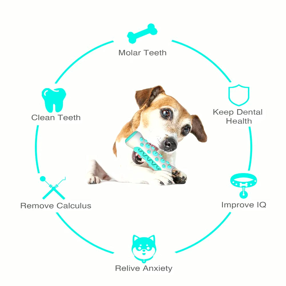 Molar Chew & Dental Toy for Dogs