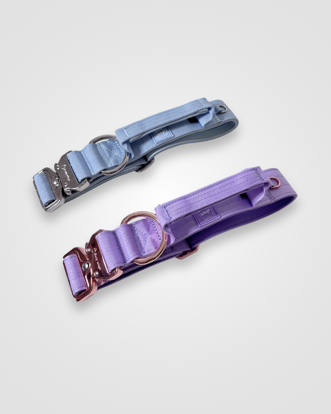 1.5" Tactical Collar with Handle - Baby Blue